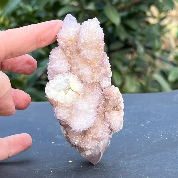 Cluster cuart cactus ametrin Africa de Sud model 105