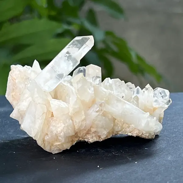 Cluster cuart incolor, floare de mina, cristal de stanca Zimbabwe m11