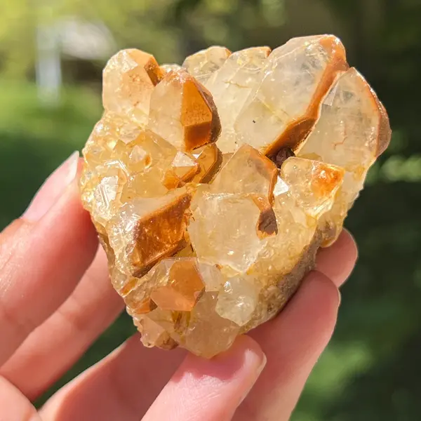Cluster cuart lamaie Zambia, golden healer model 37