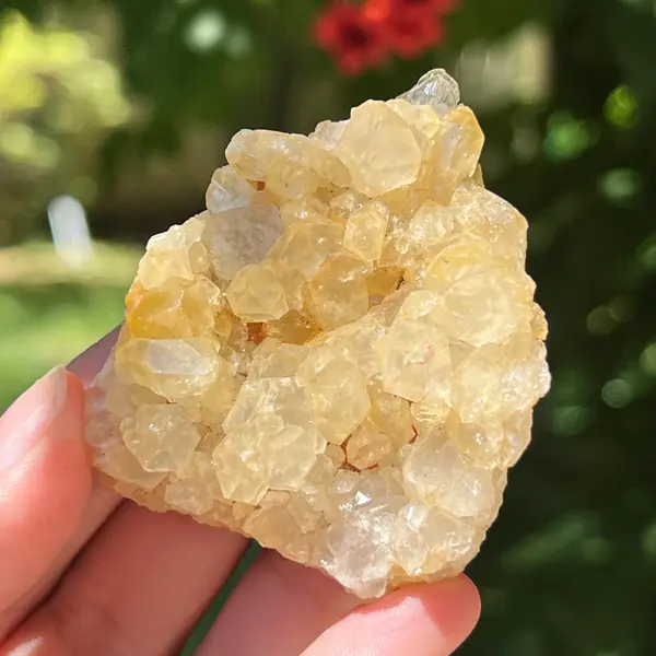Cluster cuart lamaie Zambia, golden healer model 52
