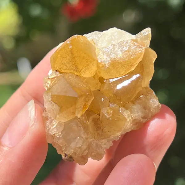 Cluster cuart lamaie Zambia, golden healer model 53