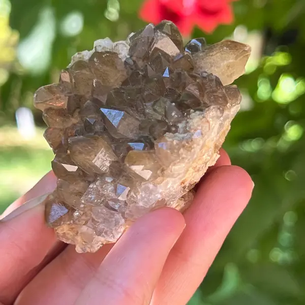 Cluster cuart lamaie Zambia, golden healer model 55