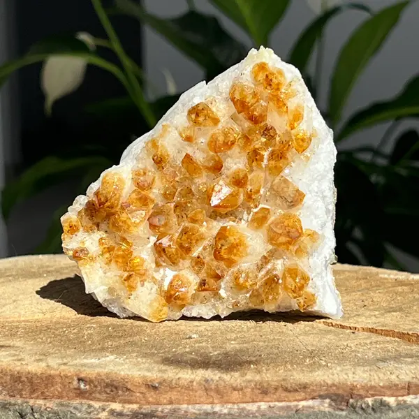 Cluster de Citrin tratat termic| Model 11