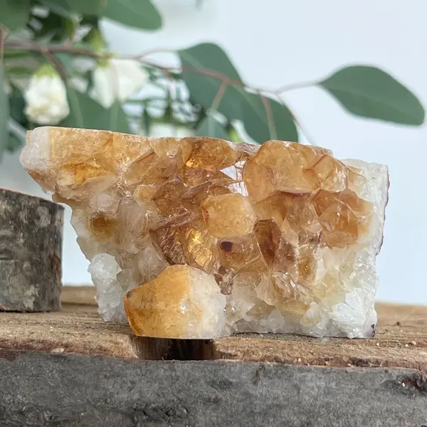 Cluster de Citrin tratat termic| Model 4