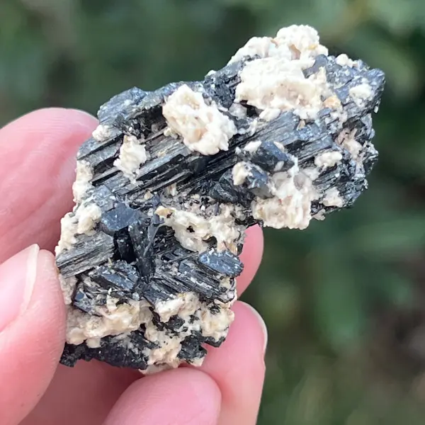 Cluster turmalina neagra cu vermiculita din Erongo m12