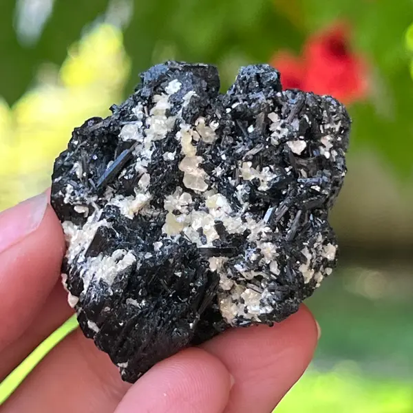 Cluster turmalina neagra cu vermiculita din Erongo m13