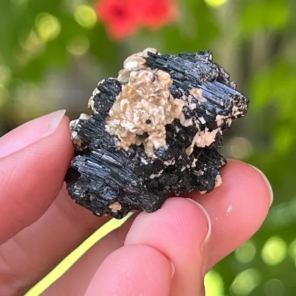 Cluster turmalina neagra cu vermiculita din Erongo m14