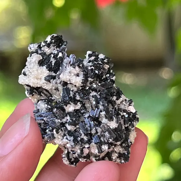Cluster turmalina neagra cu vermiculita din Erongo m21