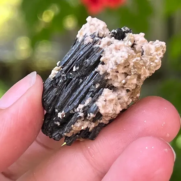 Cluster turmalina neagra cu vermiculita din Erongo m22