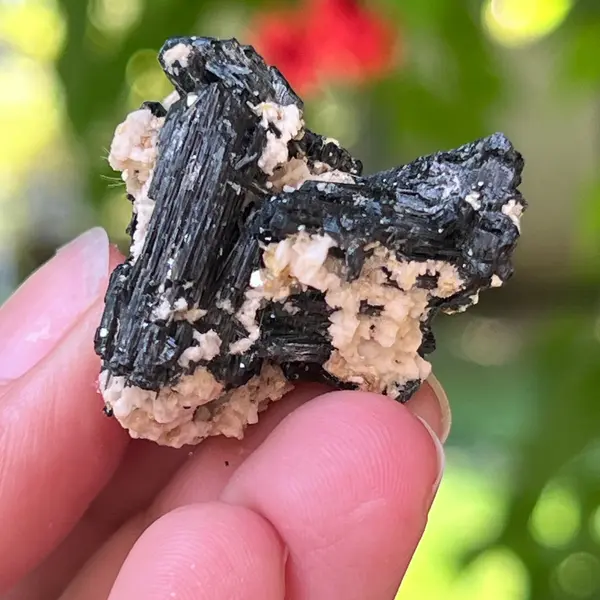 Cluster turmalina neagra cu vermiculita din Erongo m9