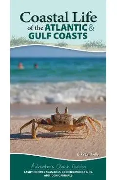 Coastal Life of the Atlantic and Gulf Coasts: Easily Identify Seashells, Beachcombing Finds, and Iconic Animals - Erika Zambello