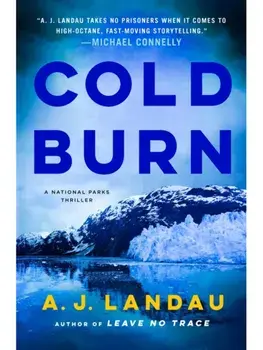 Cold Burn, Hardback/A. J. Landau