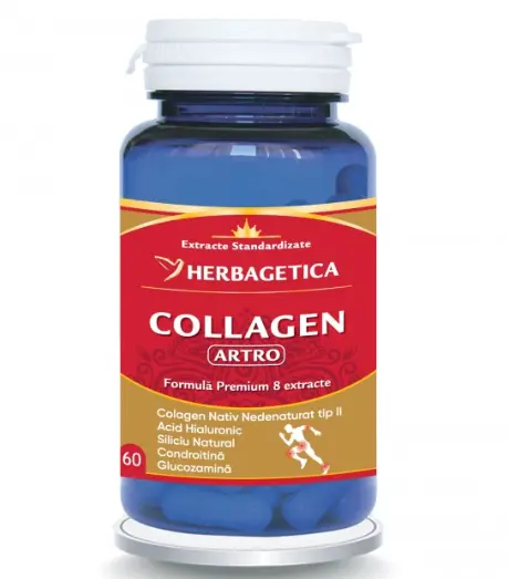 Collagen artro 60 capsule