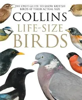 Collins Life-Size Birds. The Only Guide to Show British Birds at Their Actual Size, Hardback/Rob Read