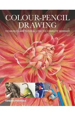 Colour-Pencil Drawing - Kendra Ferreira