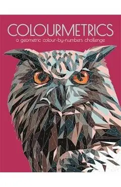Colourmetrics: A Geometric Colour by Numbers Challenge - Max Jackson