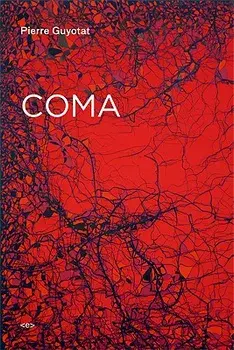 Coma, Paperback/Pierre Guyotat