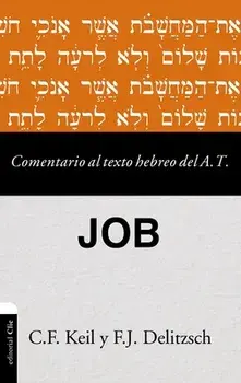 Comentario Al Texto Hebreo del Antiguo Testamento - Job, Paperback/Carl Friedrich Keil
