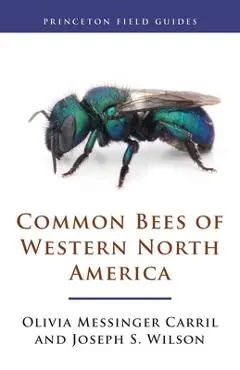 Common Bees of Western North America - Olivia Messinger Carril