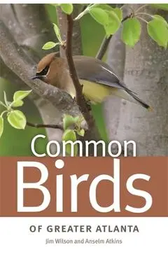 Common Birds of Greater Atlanta - Jim Wilson
