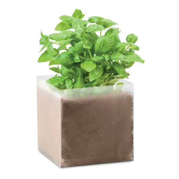 Compost cu seminte BASIL Compost cu seminte `BASIL`