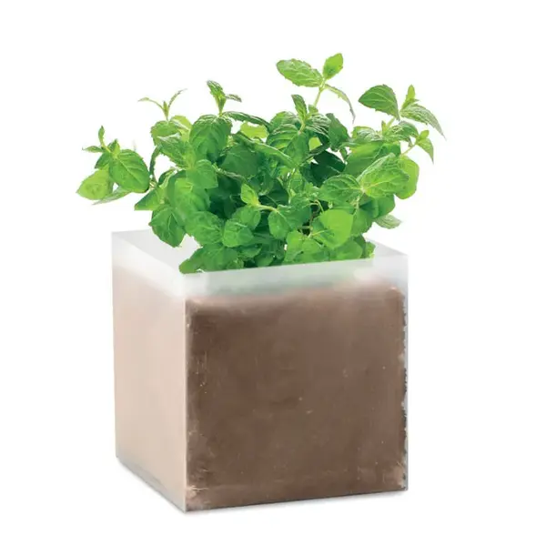 Compost cu seminte MINT Compost cu seminte `MINT`