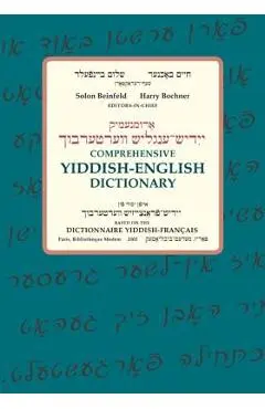 Comprehensive Yiddish-English Dictionary - Solon Beinfeld