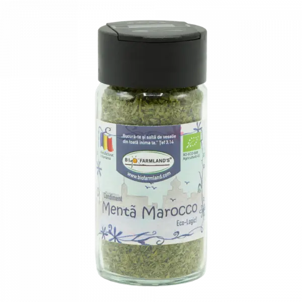Condiment Menta Marocco ECOLOGIC - 20g (Recipient Sticla)