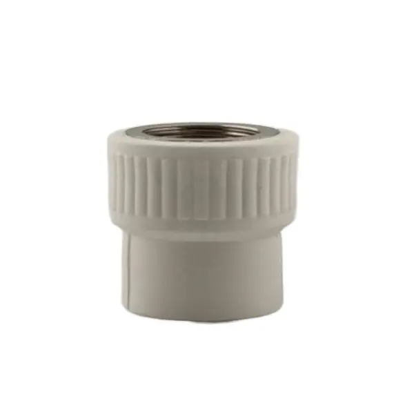 Conector PPR, Filet Interior, 25 mm x 3/4 inch, Z-tools