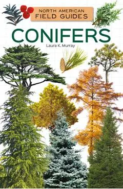 Conifers - Laura K. Murray
