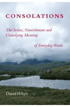Consolations: The Solace, Nourishment and Underlying Meaning of Everyday Words - David Whyte