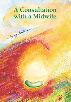 Consultation with a midwife: Sensitive, natural guidance through pregnancy, childbirth, childbed and breast-feeding/Ingeborg Stadelmann