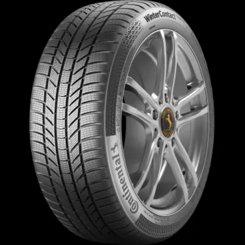 CONTINENTAL WINTER CONTACT TS870P 265/30R20 94W