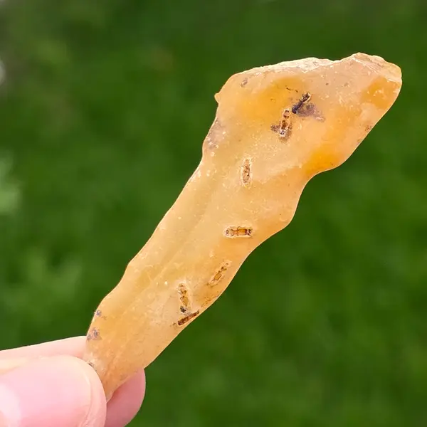 Copal (pre-chihlimbar), rasina subfosilă unicat | Model 5