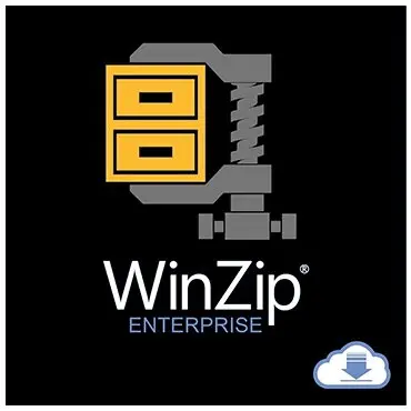 Corel Licenta WinZip 29 Enterprise - permanenta
