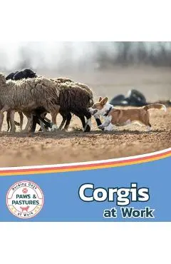Corgis at Work - Sabrina Lakes
