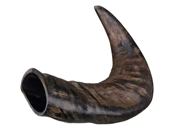 Corn natural de bivol medium pentru caini Trixie