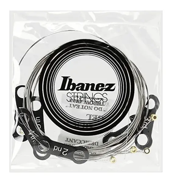 Corzi de chitară electrică Ibanez - IEGS61, 10-46, argintiu