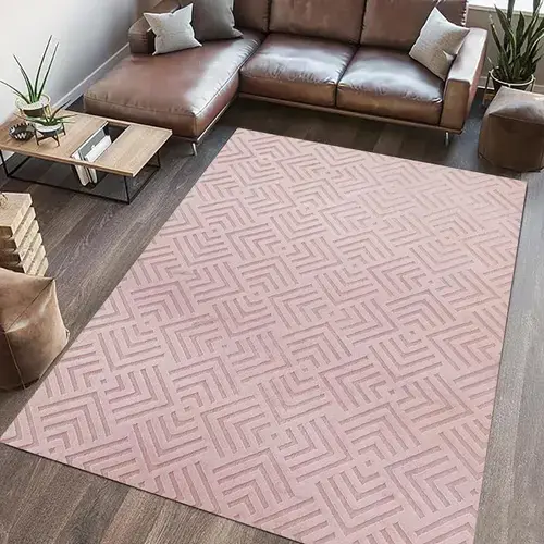 Covor Blanita Heinner Dover, 160 x 230 cm (Roz)