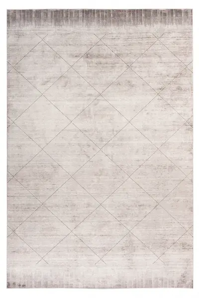 Covor Eden of Obsession Gri 120x170 cm