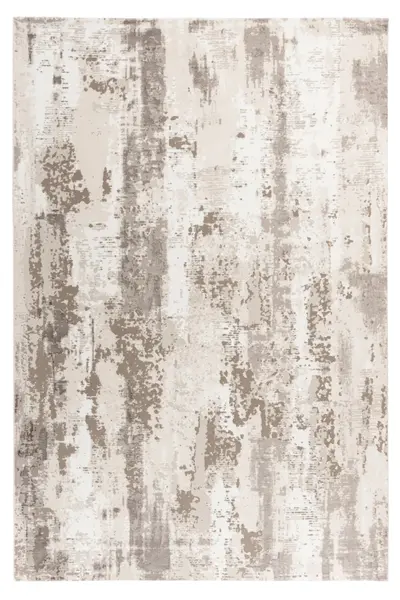 Covor My Phoenix Taupe 240x340 cm
