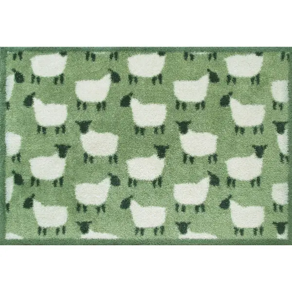 Covoraș De Intrare 60/85 cm