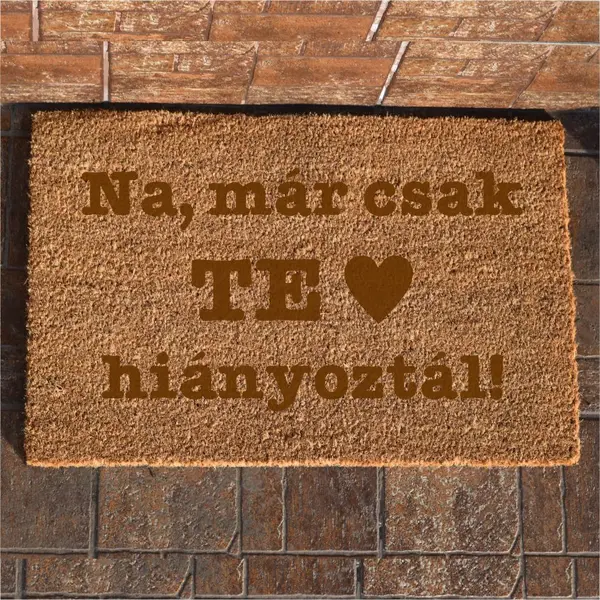 Covoras intrare personalizat Te hianyoztal CIP22