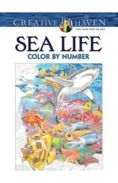 Creative Haven Sea Life Color by Number Coloring Book