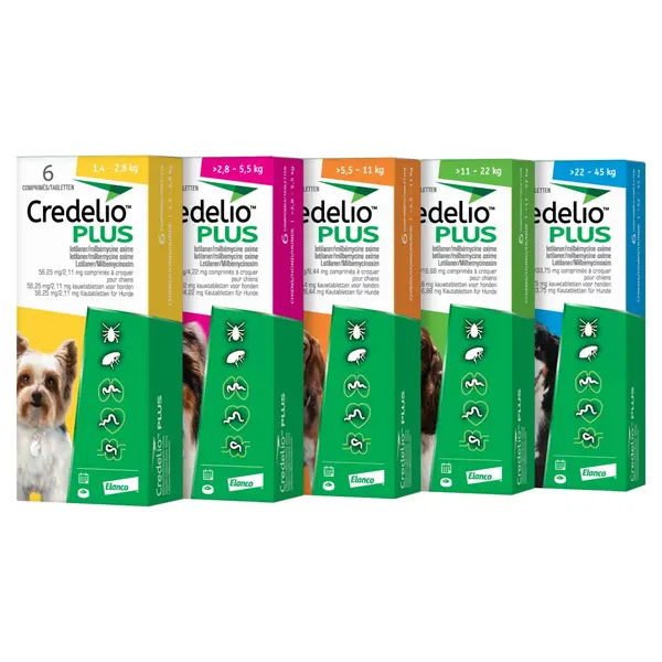 Credelio Plus Caine, 1 tableta