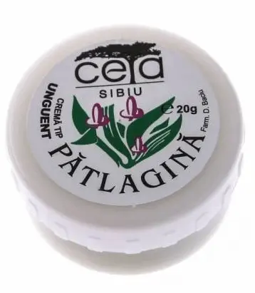 Crema tip balsam cu patlagina 20gr Ceta Sibiu