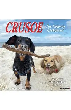 Crusoe the Celebrity Dachshund 2026 12 X 12 Wall Calendar - Ryan Beauchesne