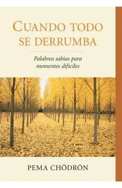 Cuando Todo Se Derrumba (When Things Fall Apart): Palabras Sabias Para Momentos Dificiles - Pema Chodron