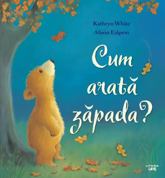 Cum arata zapada?