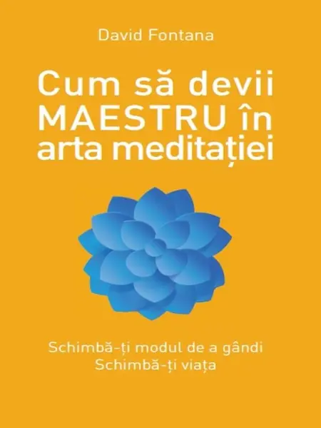 Cum sa devii maestru in arta meditatiei | David Fontanavol